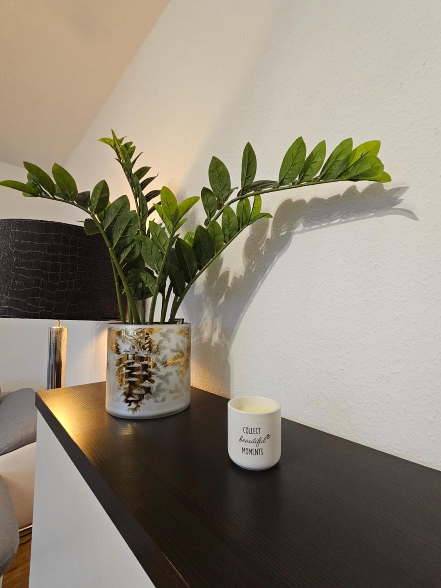 Ecocube Apartment2 Meppen14, Balkon, Kueche, Waschmaschine Rom bilde